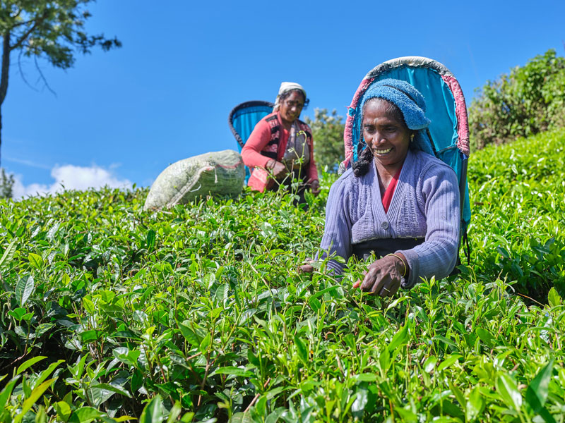 Sri Lanka two weeks itinerary