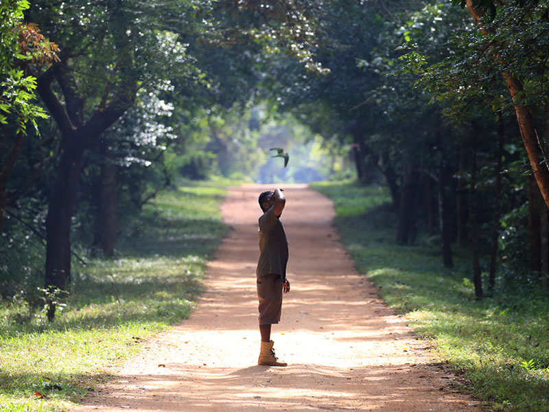 Sri Lanka two weeks itinerary