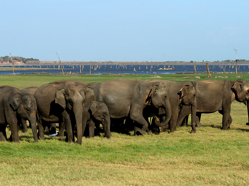 Sri Lanka two weeks itinerary