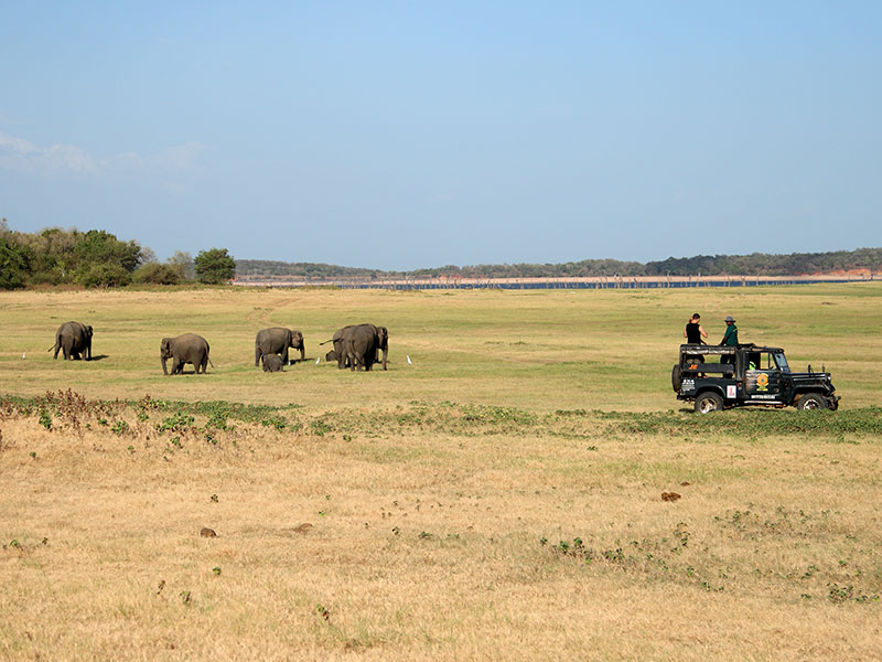 Sri Lanka two weeks itinerary