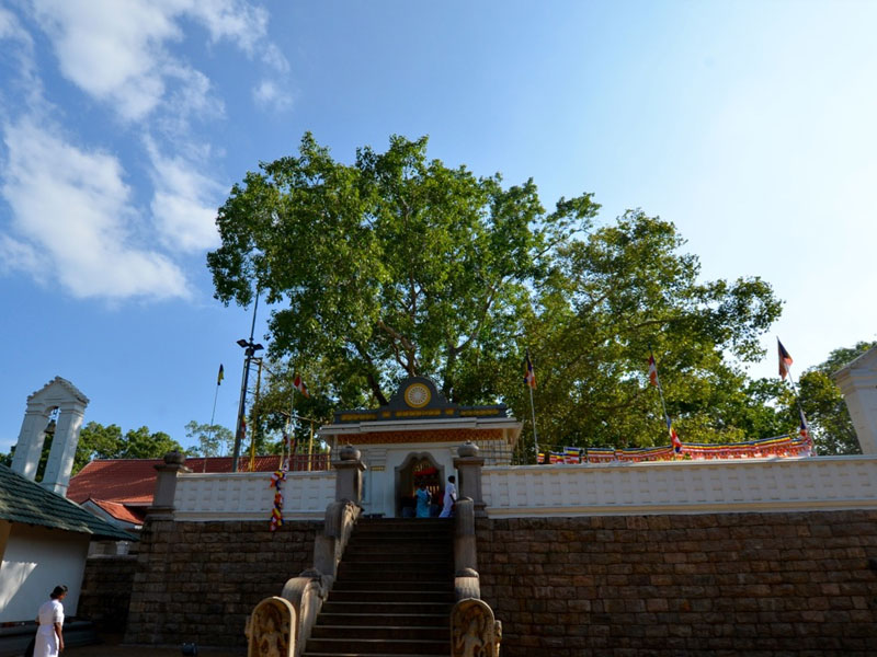 Sri Lanka two weeks itinerary