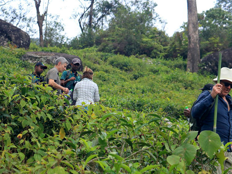 Sri Lanka two weeks itinerary